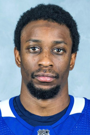 Wayne Simmonds in Soul on Ice: Past, Present and Future