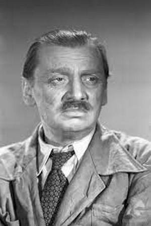 Bronisław Dardziński in Career