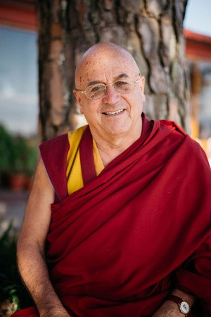 Matthieu Ricard in Wheel of Time