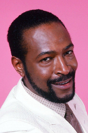 Marvin Gaye in The T A M I  Show