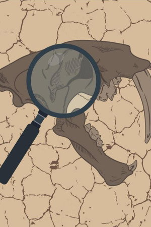 Paleo Analysis in The Complete History of the Earth: Everything Before the Dinosaurs SUPERCUT