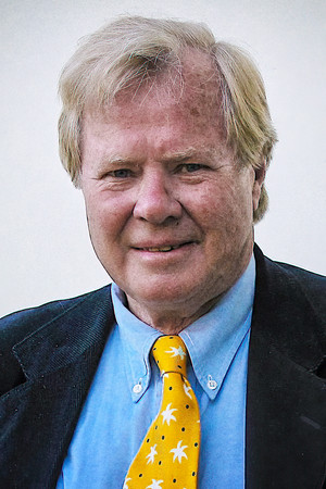 Staffan Heimerson in Peter Bratt - En undersökare