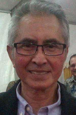 Pong Harjatmo in Hattrick