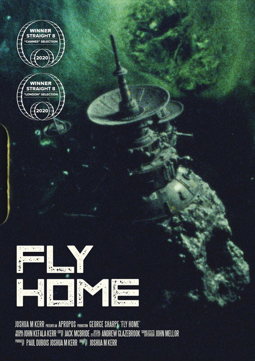 Fly Home (2021) movie poster
