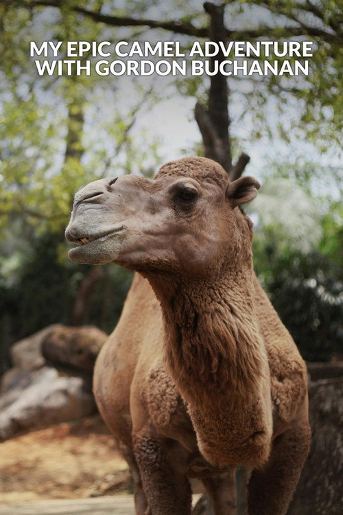 My Epic Camel Adventure With Gordon Buchanan (2024) movie poster