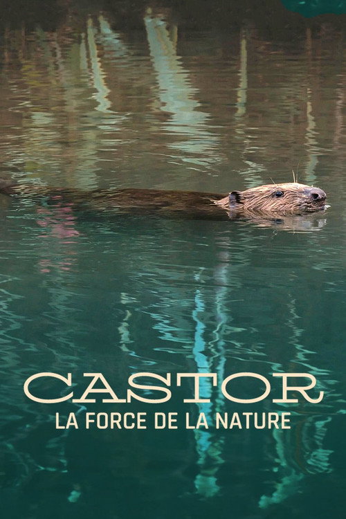 Castor, la force de la nature (2023) movie poster
