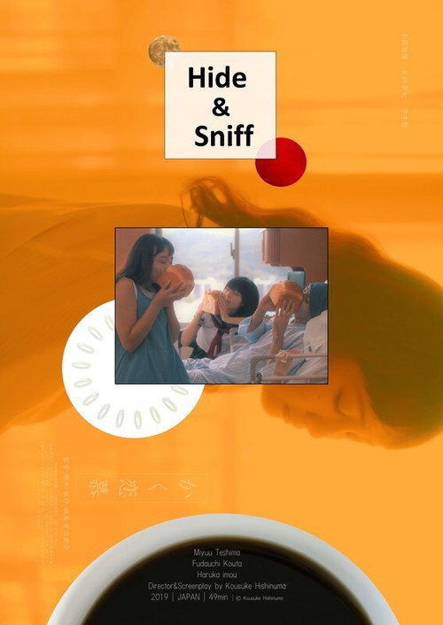 Hide & Sniff (2020) movie poster
