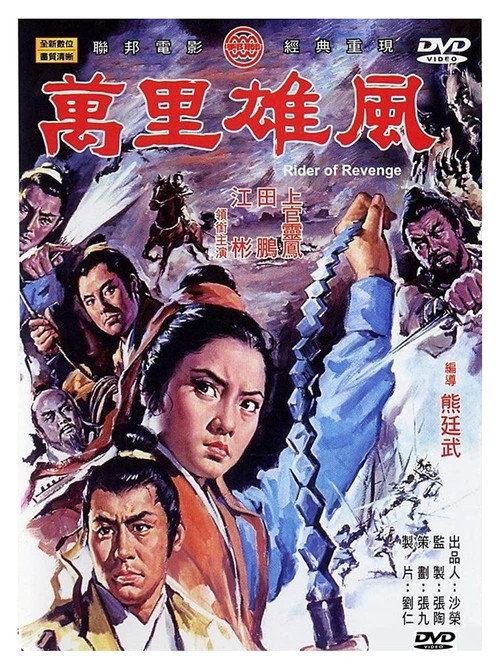 Rider of Revenge (1971) movie poster