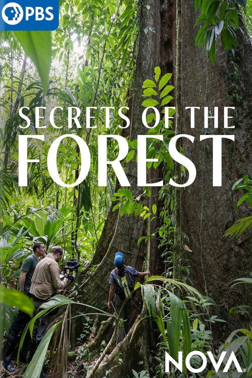 Secrets of the Forest movie poster