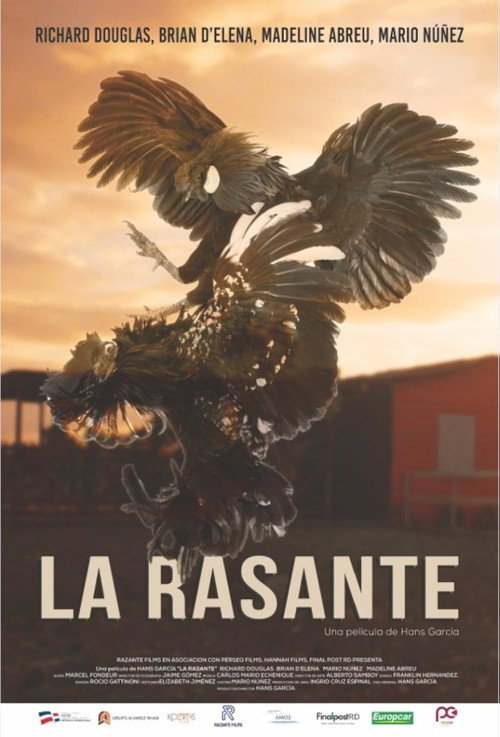 La Rasante (2021) movie poster