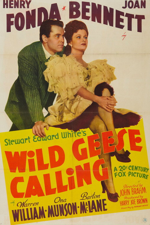 Wild Geese Calling (1941) movie poster