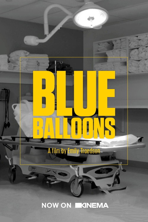 Blue Balloons (2017) movie poster