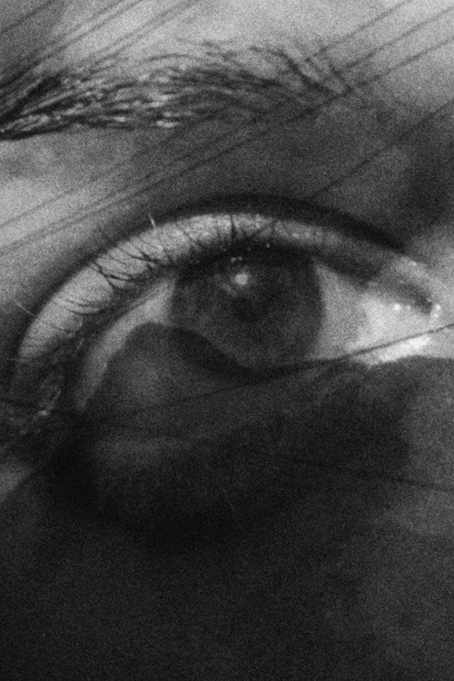 Looking through a Glass Darkly (2023) movie poster