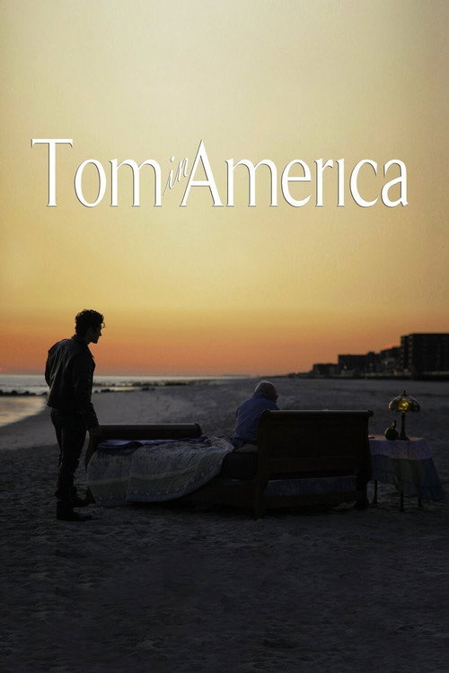 Tom in America (2014) movie poster