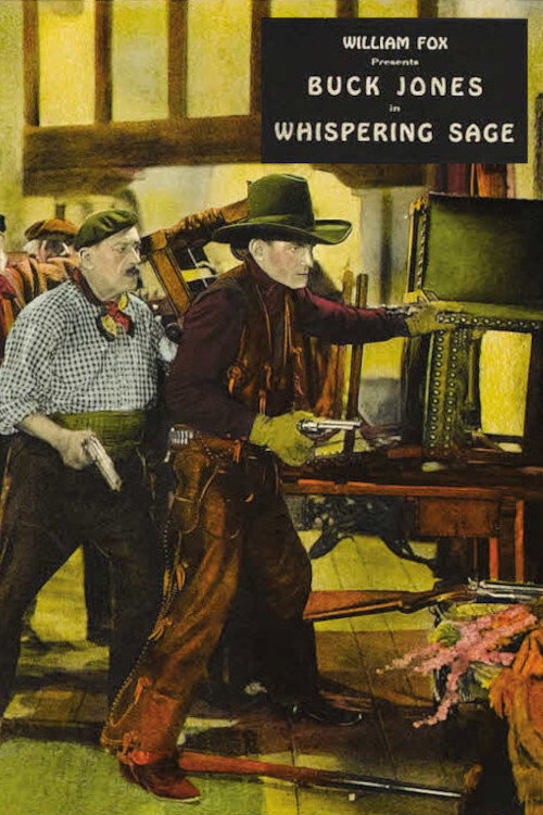 Whispering Sage (1927) movie poster