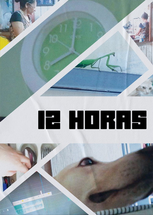 12 Hours (2022) movie poster