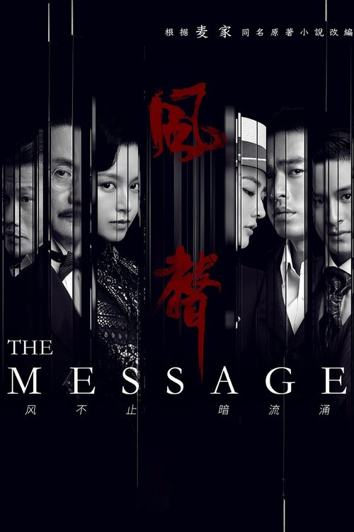 The Message (2020) TV show poster