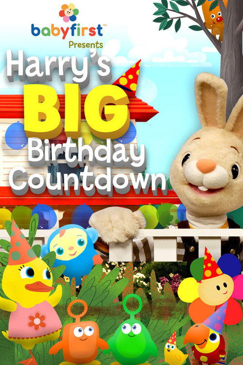 Harry's Big Birthday Countdown movie poster