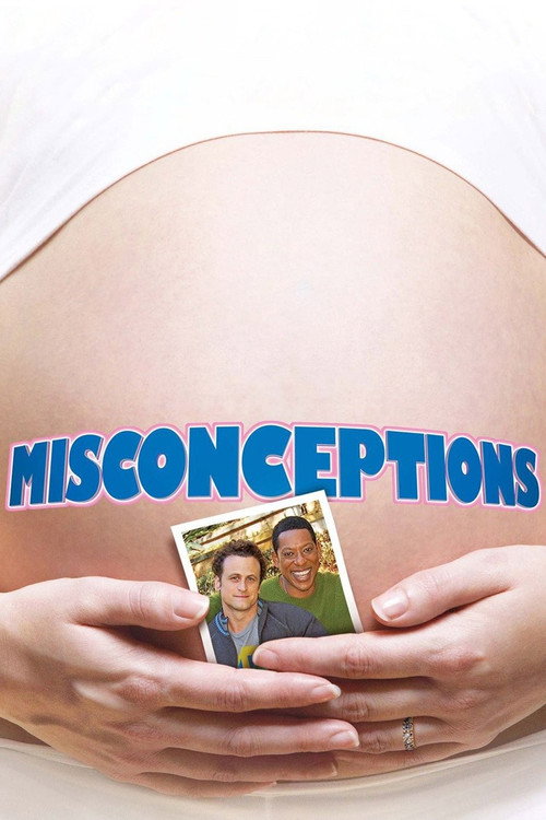 Misconceptions (2010) movie poster