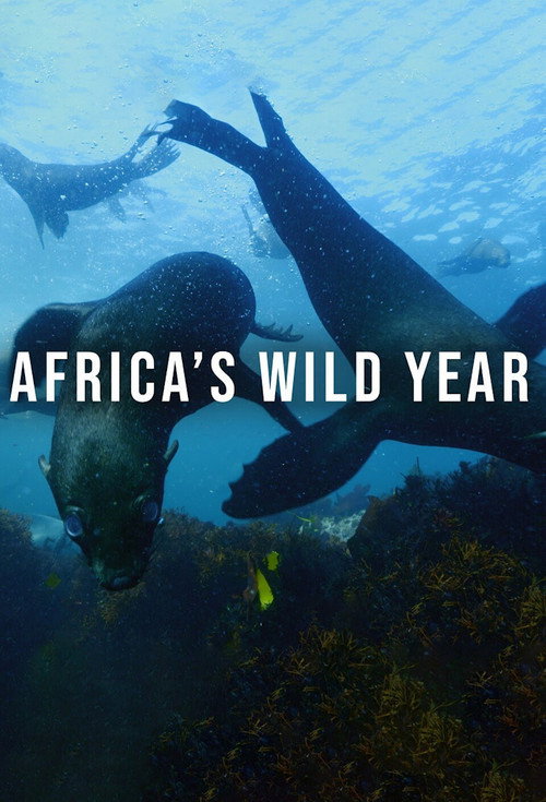 Africa's Wild Year (2021) TV show poster