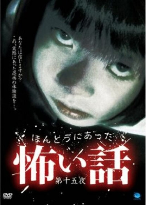 Scary True Stories: Night 15 (2009) movie poster