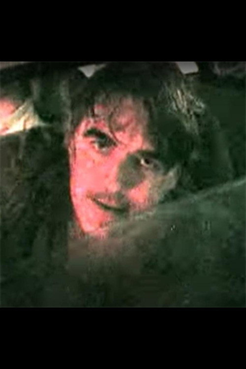 ANGRY MAN FROM RIO - Rio Floods movie poster
