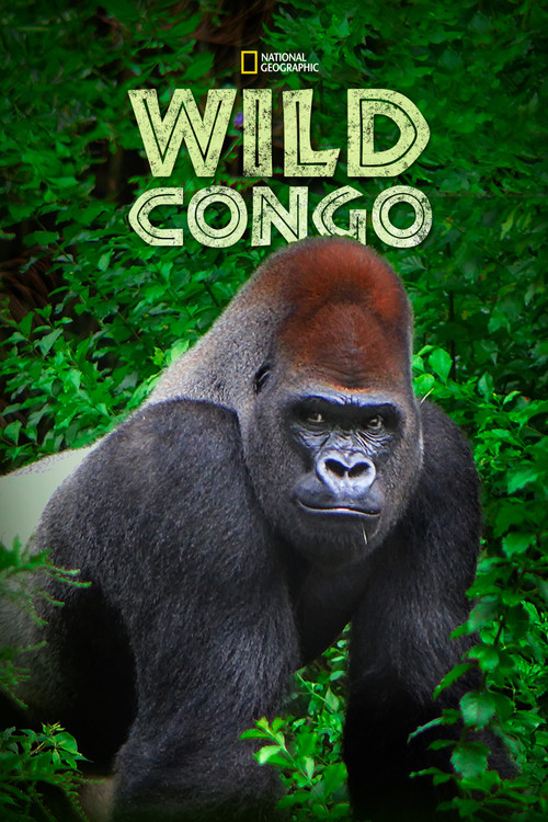 Wild Congo (2014) TV show poster