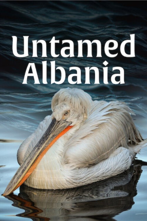 Untamed Albania (2018) movie poster