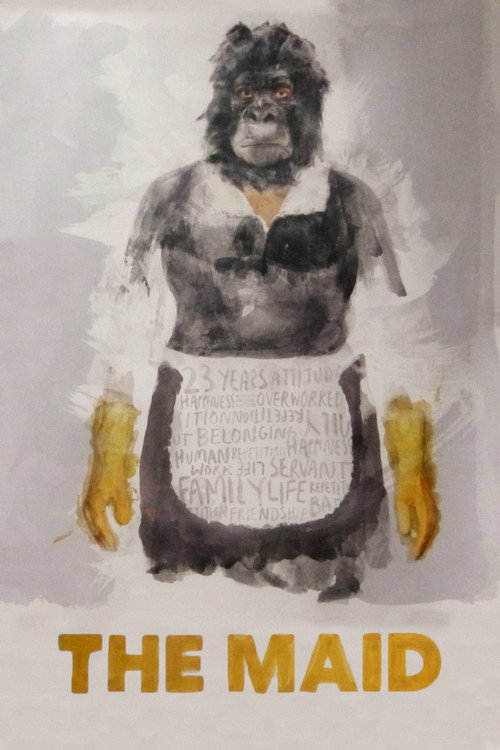 The Maid (2009) movie poster