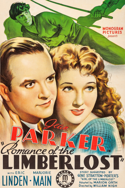 Romance of the Limberlost (1938) movie poster