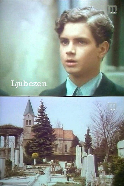 Love (1984) movie poster