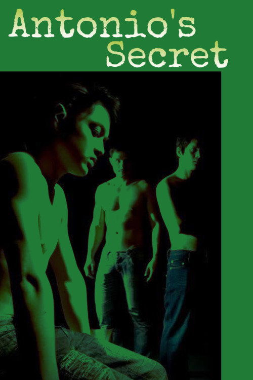 Antonio's Secret (2008) movie poster