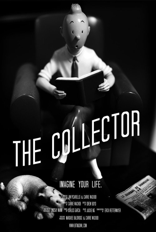 The Collector (2024) movie poster
