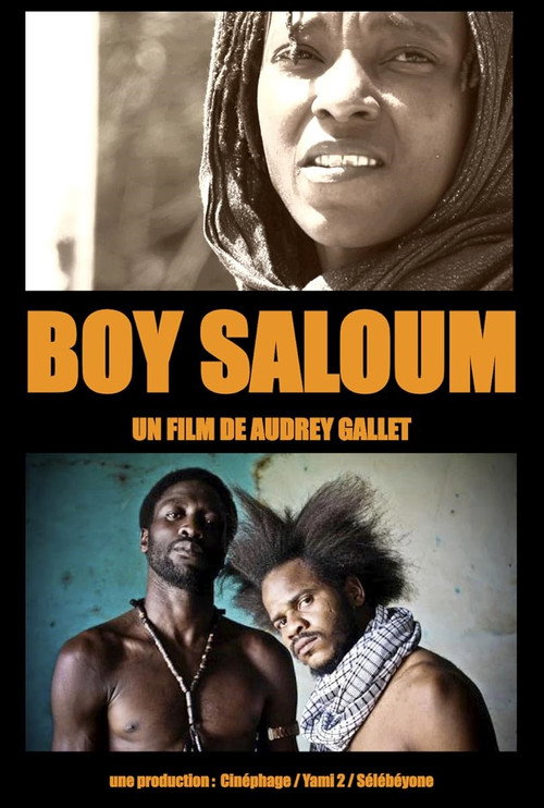 Boy Saloum : La révolte des Y’en a marre (2013) movie poster