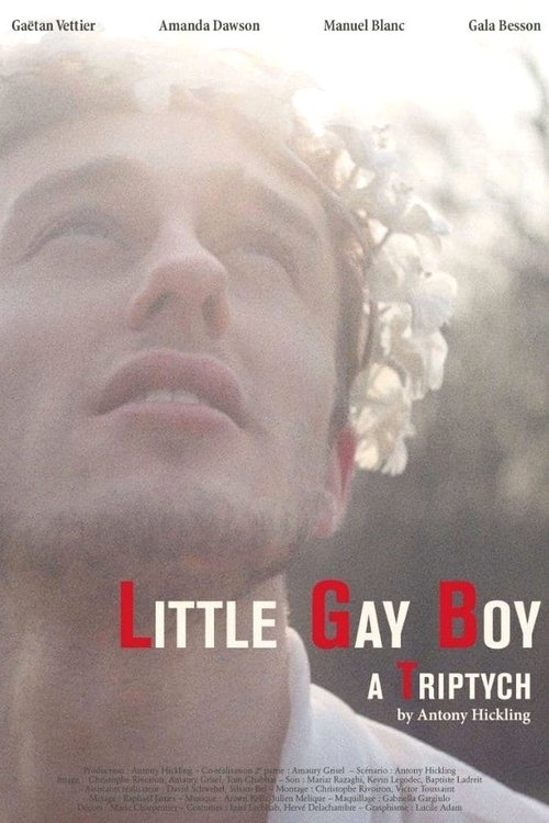 Little Gay Boy (2013) movie poster