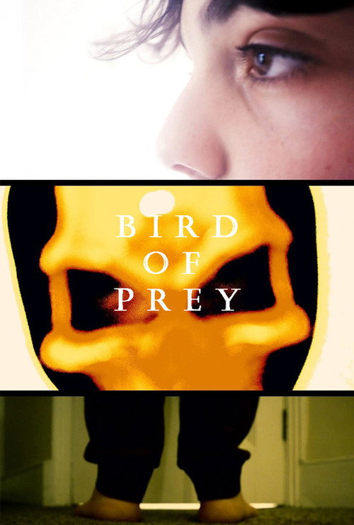 Bird Of Prey (2021) movie poster