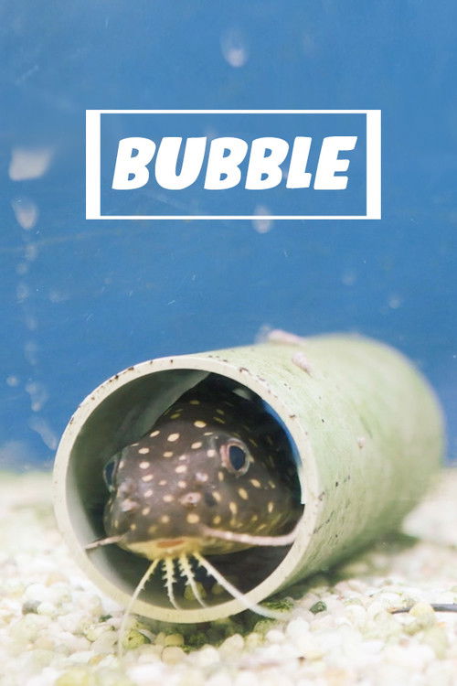 Bubble (2020) movie poster