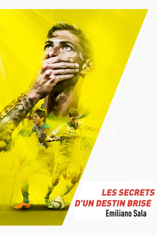 Emiliano Sala, les secrets d'un destin brisé (2019) movie poster