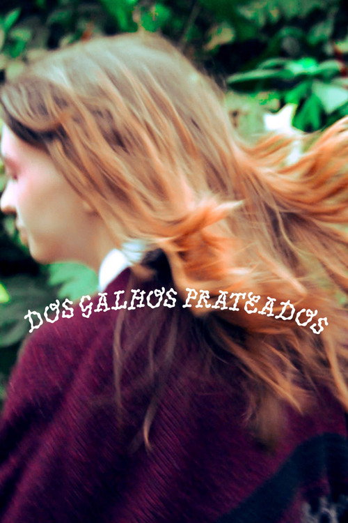 Dos Galhos Prateados (2023) movie poster