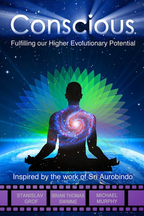 Conscious: Fulfilling Our Higher Evolutionary Potential (2017) movie poster