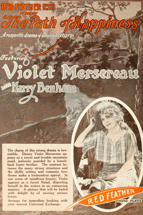 The Path of Happiness (1916) movie poster