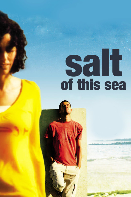 Salt of This Sea (2008) movie poster