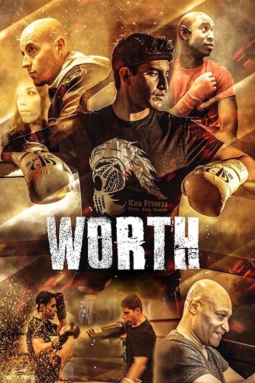 Worth (2018) movie poster