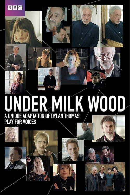 Under Milk Wood (2014) movie poster