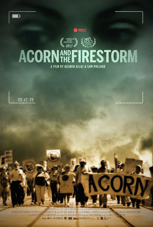 Acorn and the Firestorm (2017) movie poster