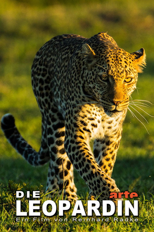 The Leopardess (2020) movie poster