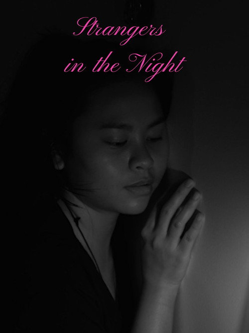Strangers in the Night (2024) movie poster