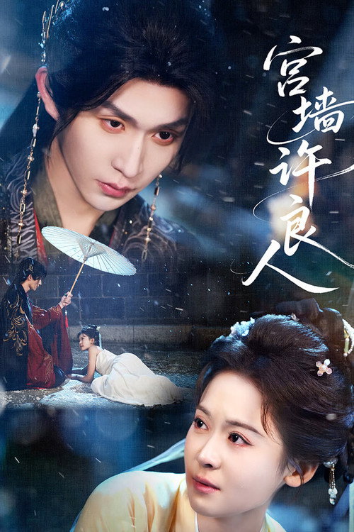宫墙许良人 (2026) TV show poster