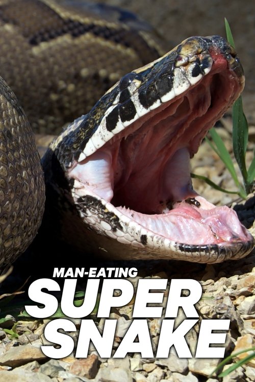 Man-Eating Super Snake (2011) movie poster