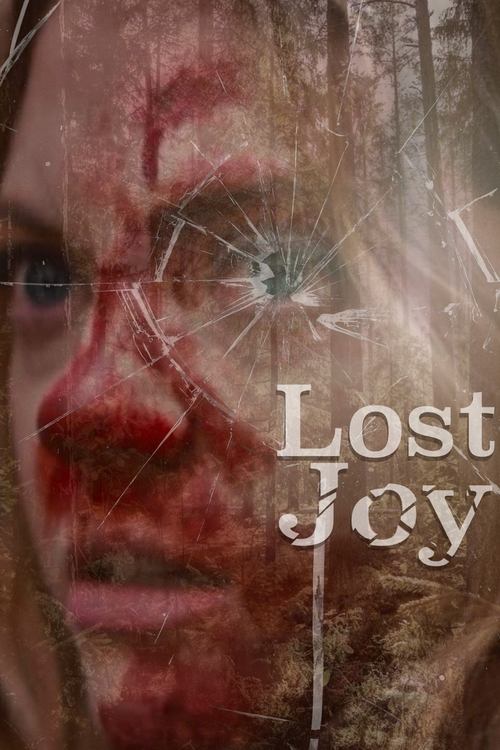 Lost Joy (2025) movie poster
